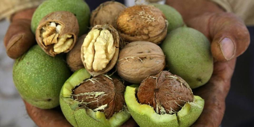 Süphan Dağı eteklerinden dünyaya uzanıyor! Bereketli hasat yok satıyor: Arap ülkeleri kimseye bırakmıyor 5